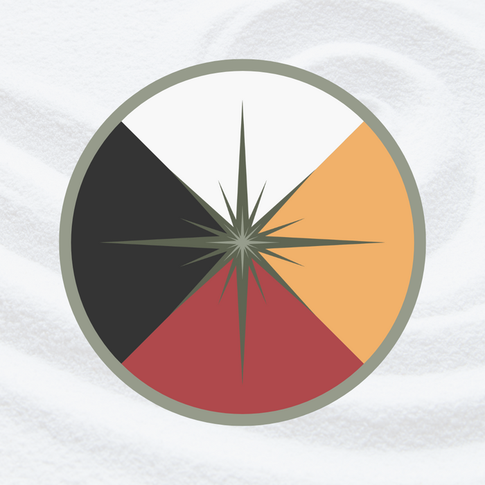 Medicine Wheel Wellness Workbook